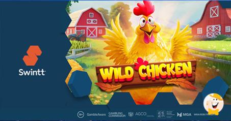 Компания Swintt представила слот Wild Chicken с гуляющими вайлдами