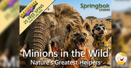 Springbok Unveils Wildlife Promotion for July