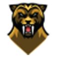 Beast Gaming Ltd. logo