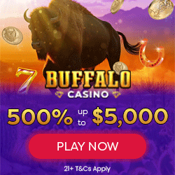 Buffalo Casino