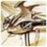 AutoryturderO