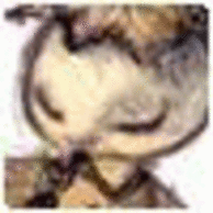 Utesannuato
