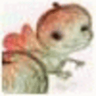 Alorrorse