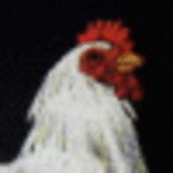 dumPeacecen