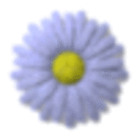 Cypesuete