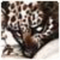 Rubexteste