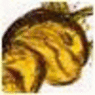 ornasowEncusa