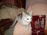 yasmine.salnajs