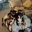 carol.holzer.9