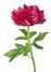 karen.s.jewell