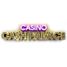 casinocashpalace