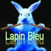 lapin_bleu