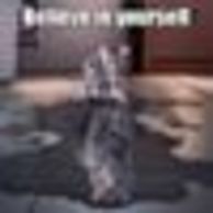 rockyencinas