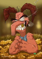Snorel-Snief