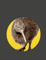Tamara83nz