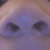 Avi Apeal