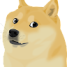 Doge Music
