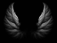 AngelusD