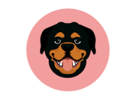 CasperrArrt
