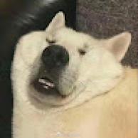 宋白水