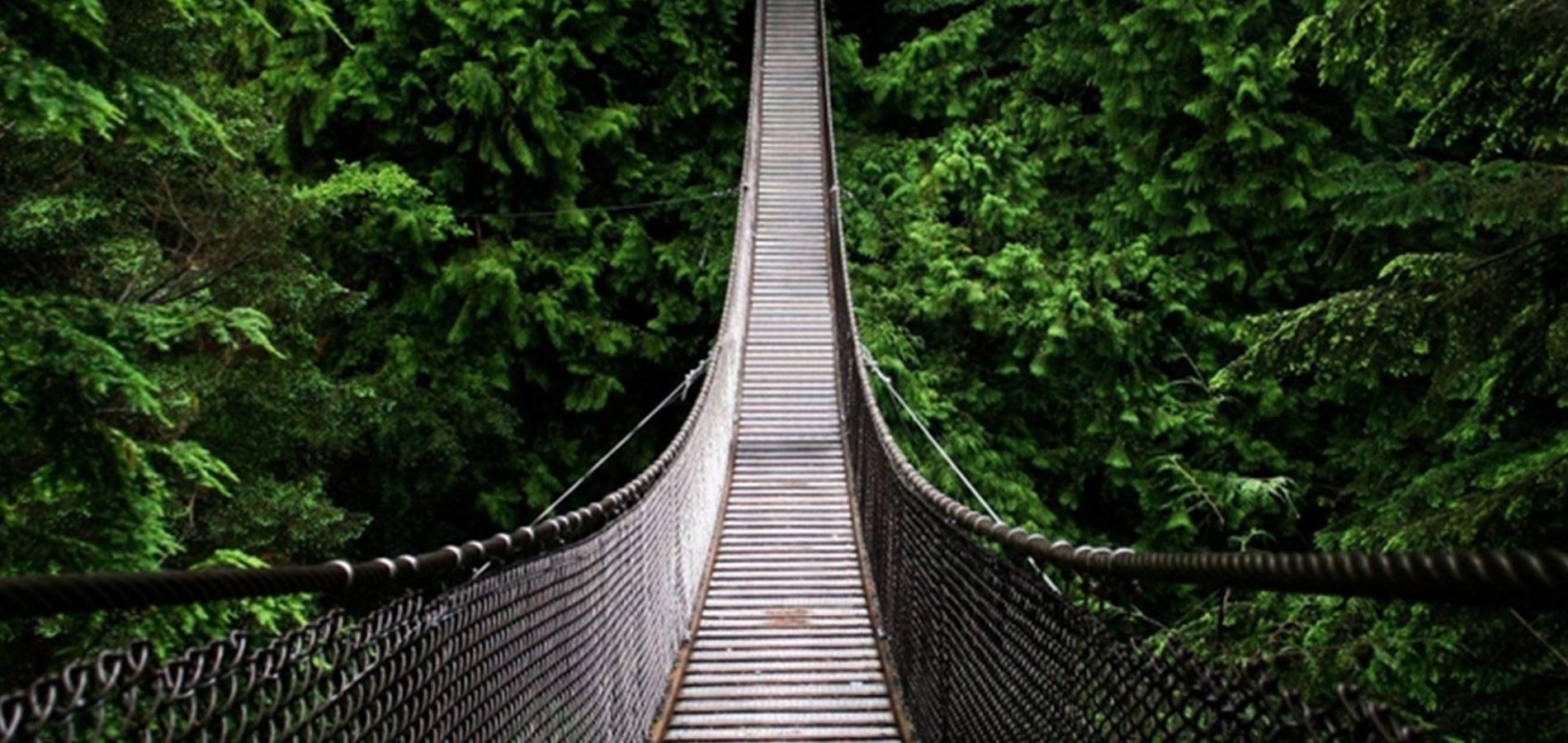 Open uri20161021 38836 yc7qdj?1496929664