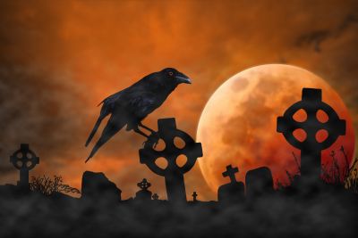 HalloweenSuperstitionCrow