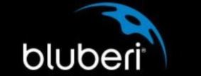 LogoBluberi