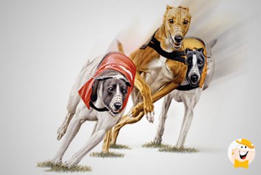 2 Greyhound Racing