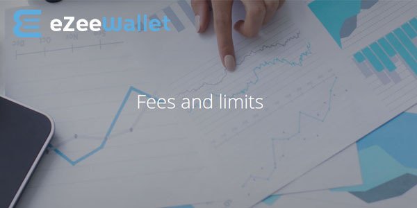 fees_applicable_when_using_e_zee_wallet