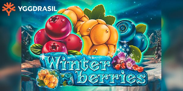 winterberries_by_yggdrasil