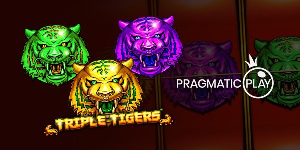 triple_tigers