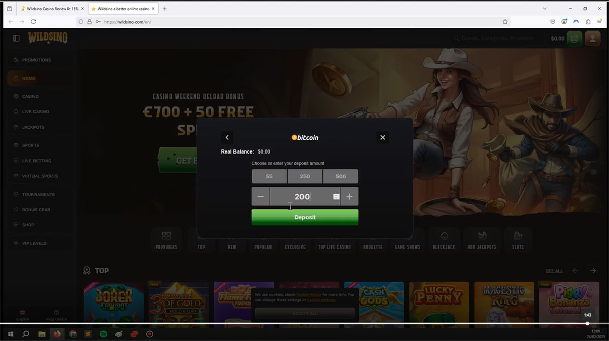 Wildsino-casino-deposit-amount-in-cashier